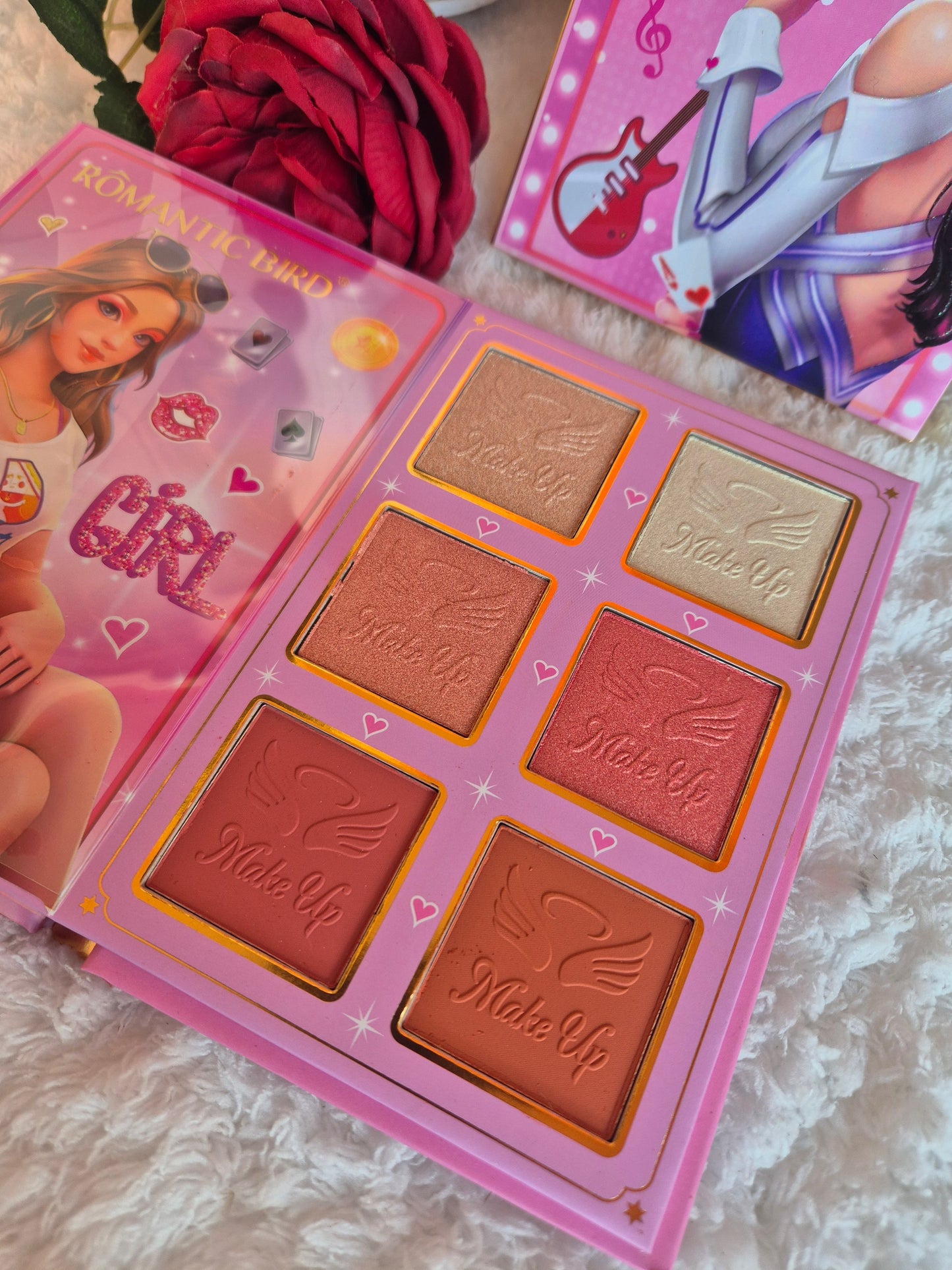 Pop star makeup book