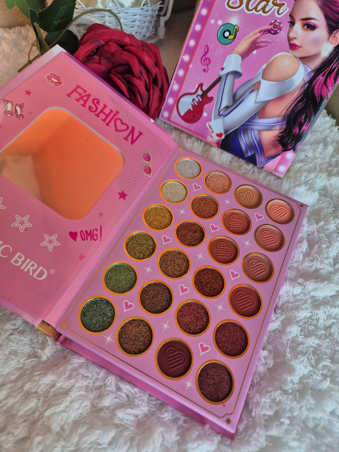 Pop star makeup book