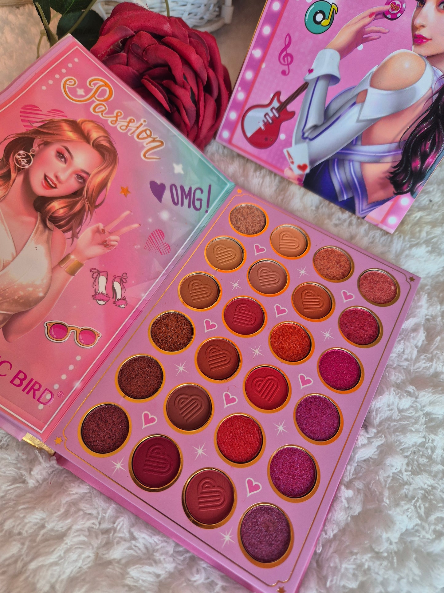 Pop star makeup book