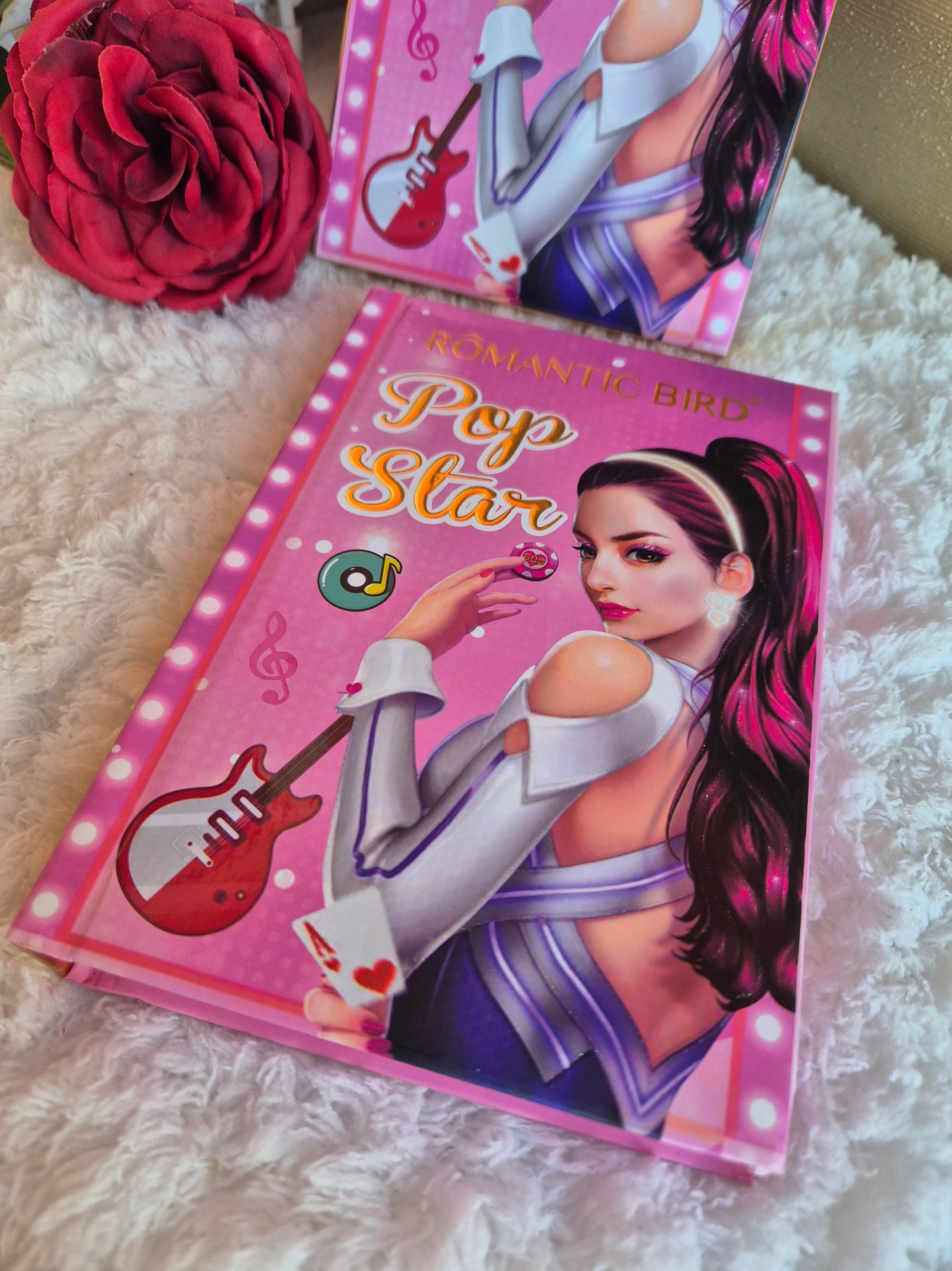 Pop star makeup book